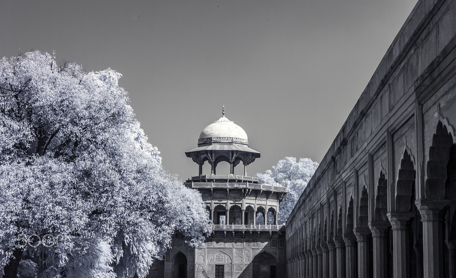 Canon EOS 500D (EOS Rebel T1i / EOS Kiss X3) sample photo. Alleyways of the taj photography
