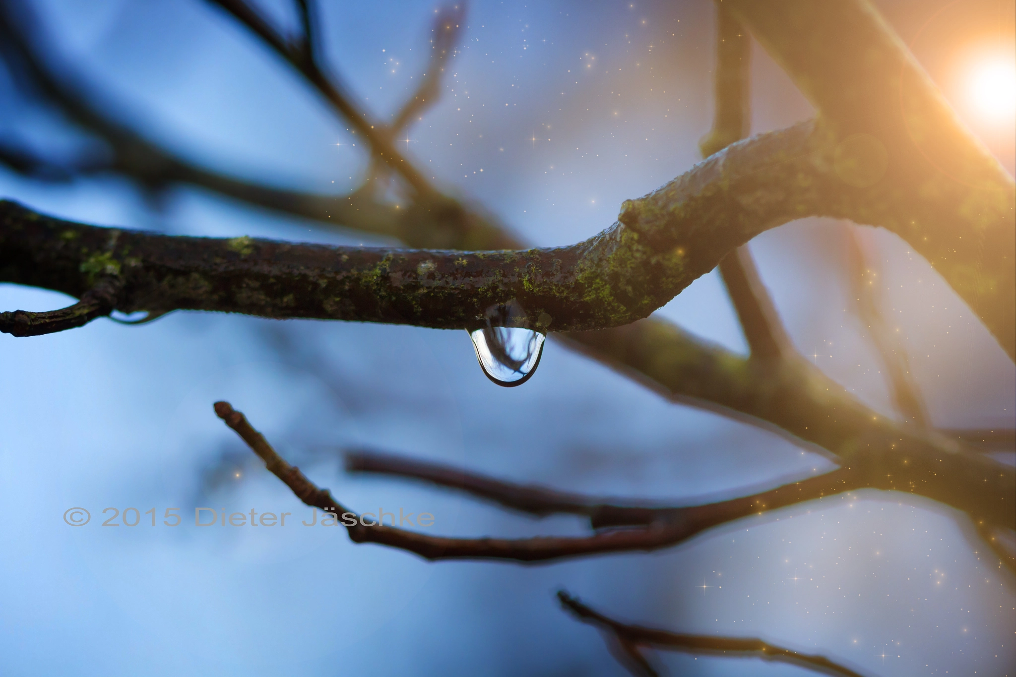 Canon EOS 700D (EOS Rebel T5i / EOS Kiss X7i) + Canon EF 100mm F2.8 Macro USM sample photo. Magic drop photography