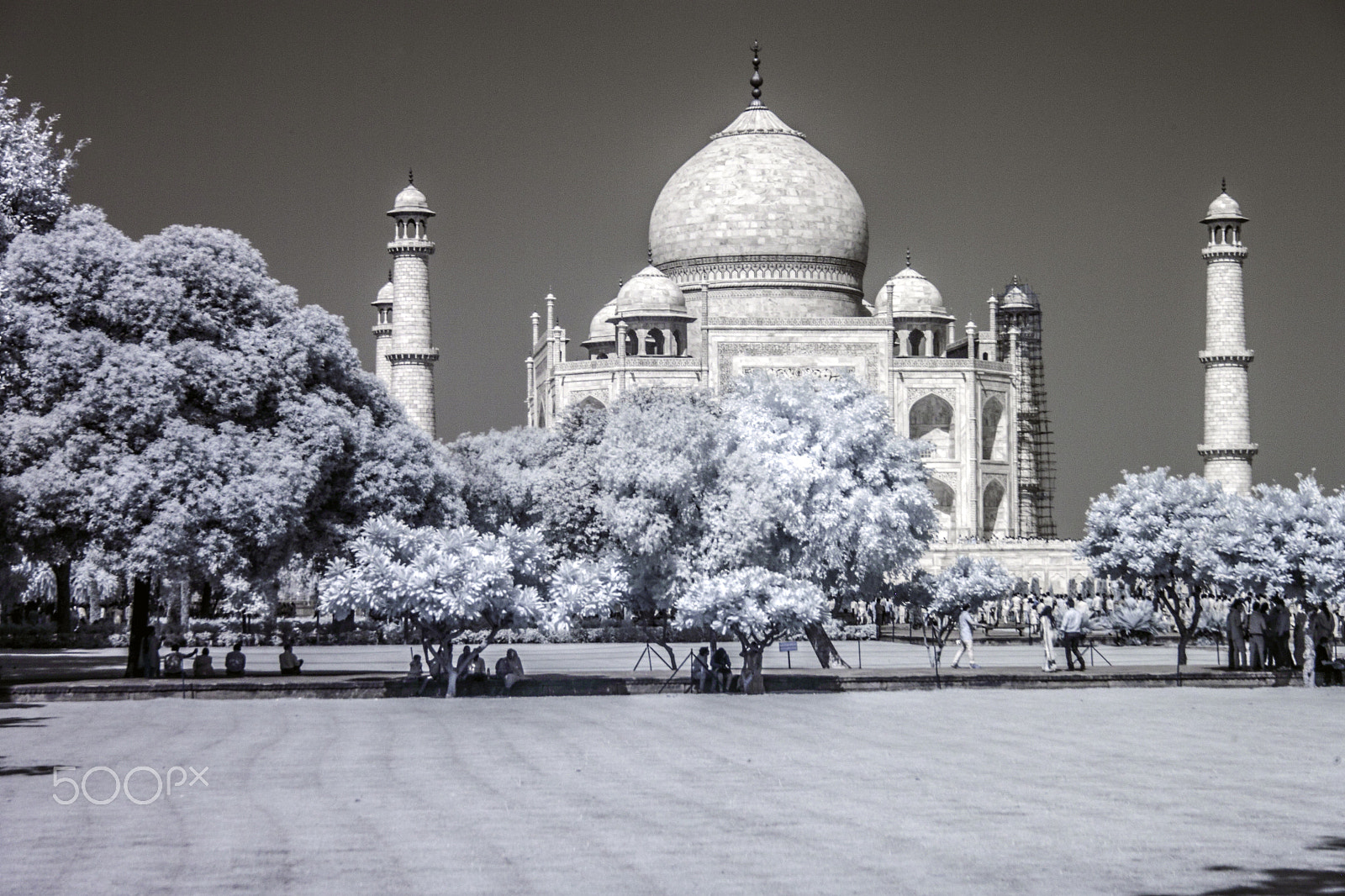 Canon EOS 500D (EOS Rebel T1i / EOS Kiss X3) sample photo. Shade of the taj mahal photography