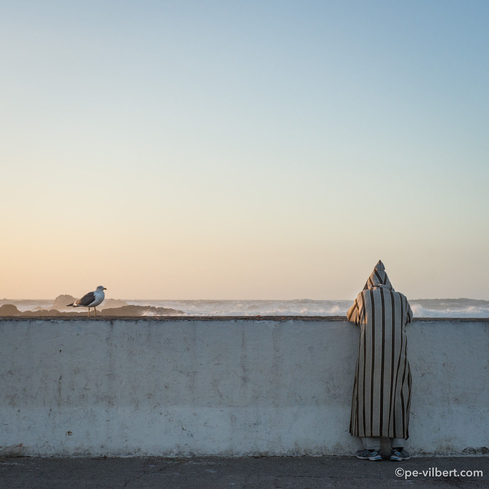Sony a99 II + Minolta AF 50mm F1.4 [New] sample photo. A bird & a man photography
