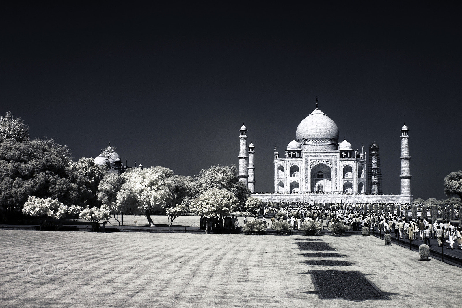 Canon EOS 500D (EOS Rebel T1i / EOS Kiss X3) sample photo. Crowds of the taj mahal photography