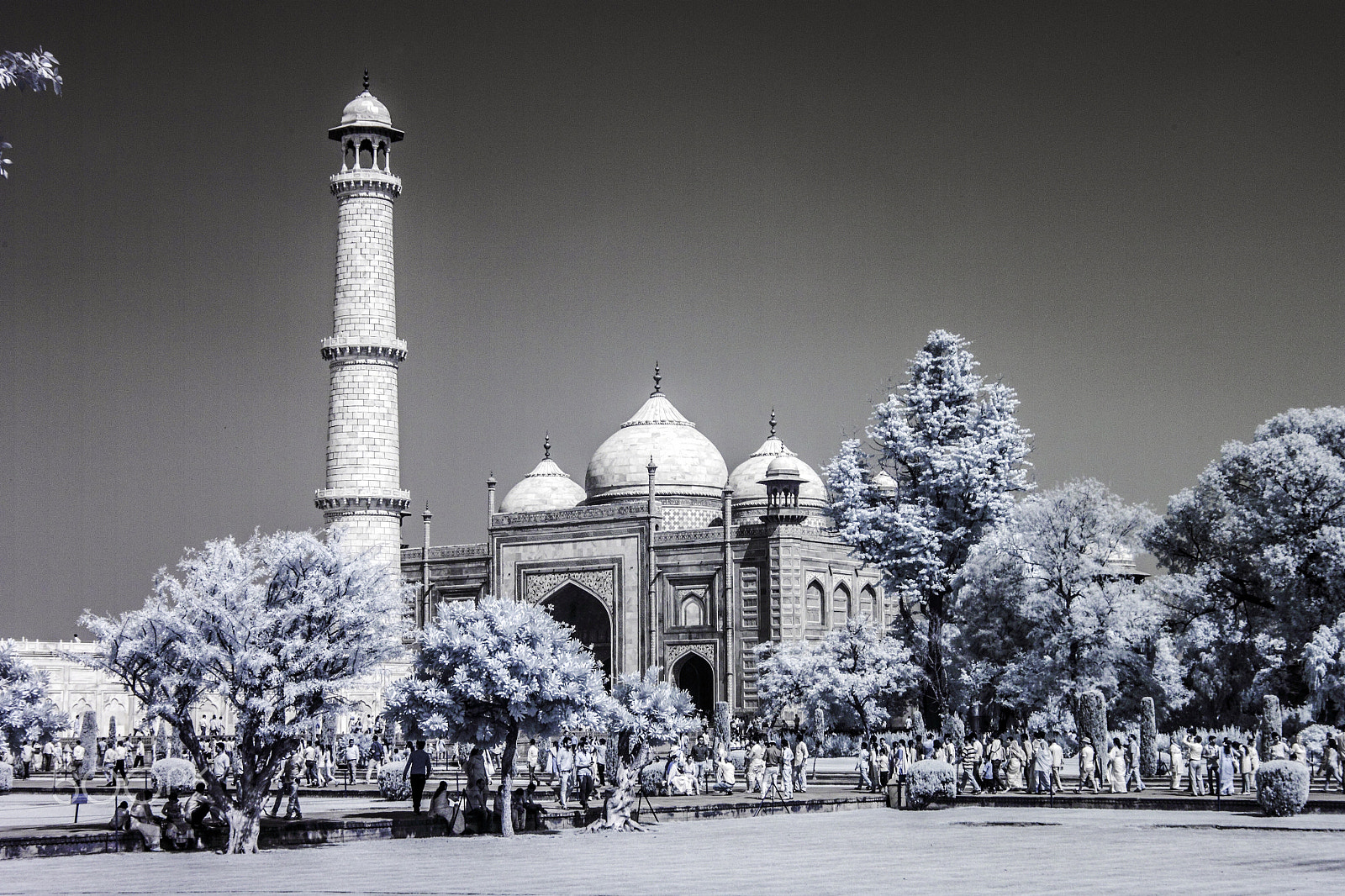 Canon EOS 500D (EOS Rebel T1i / EOS Kiss X3) sample photo. The tower of taj photography