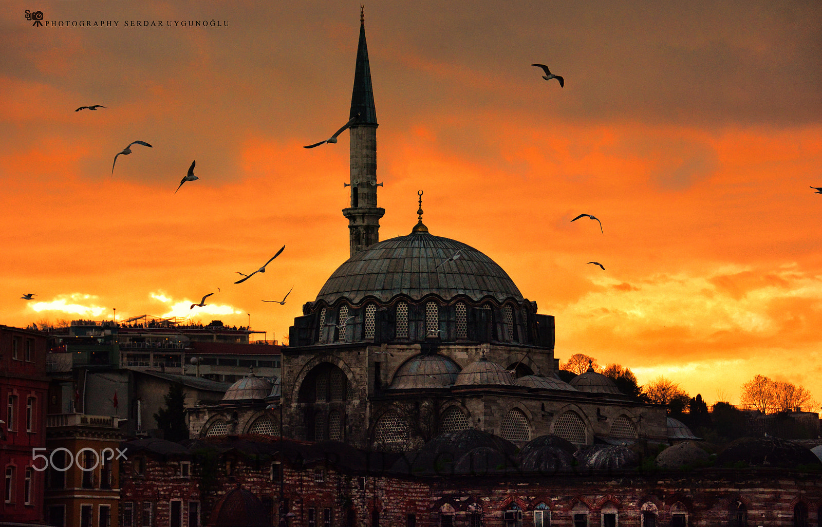 Nikon D7100 + Nikon AF Nikkor 180mm F2.8D ED-IF sample photo. Mosque sunset gulls photography
