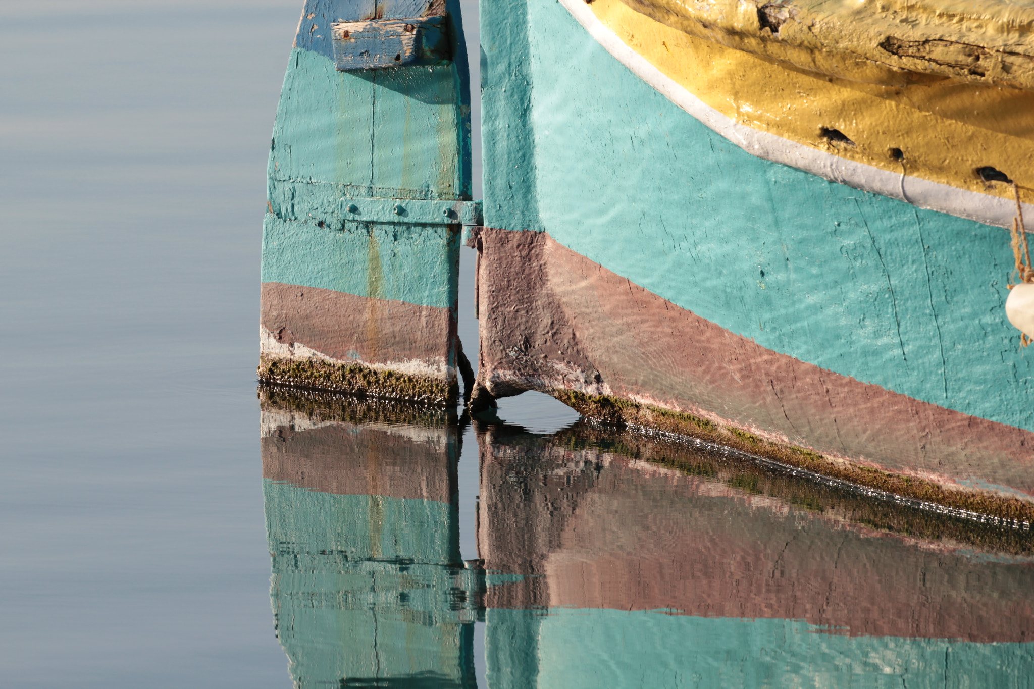 Canon EF 100-400mm F4.5-5.6L IS II USM sample photo