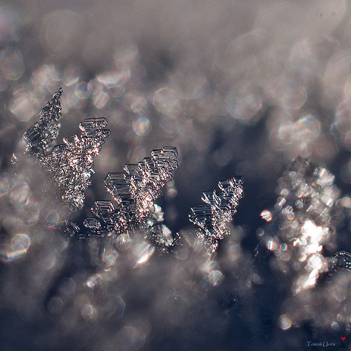 Nikon AF-S DX Micro Nikkor 40mm F2.8 sample photo. Snow flakes :) photography