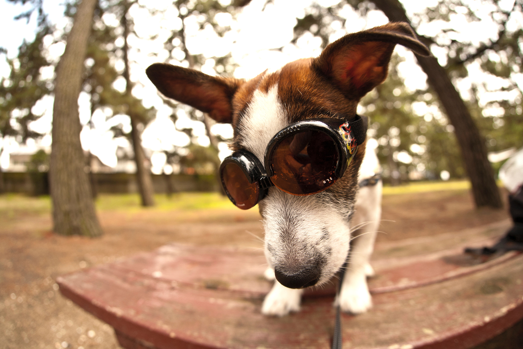 Sigma 15mm f/2.8 EX Fisheye sample photo. 04. photography