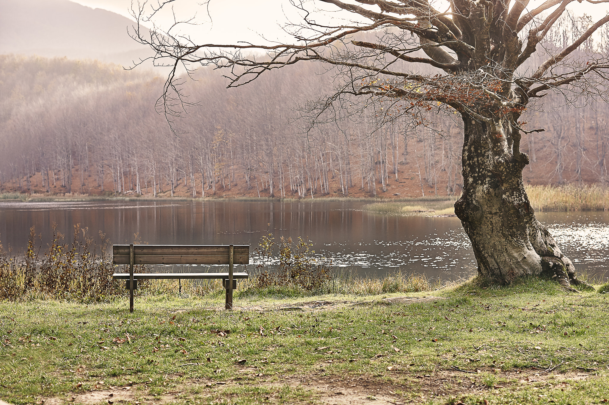 Canon EOS 40D + Canon EF 40mm F2.8 STM sample photo. The my lake photography