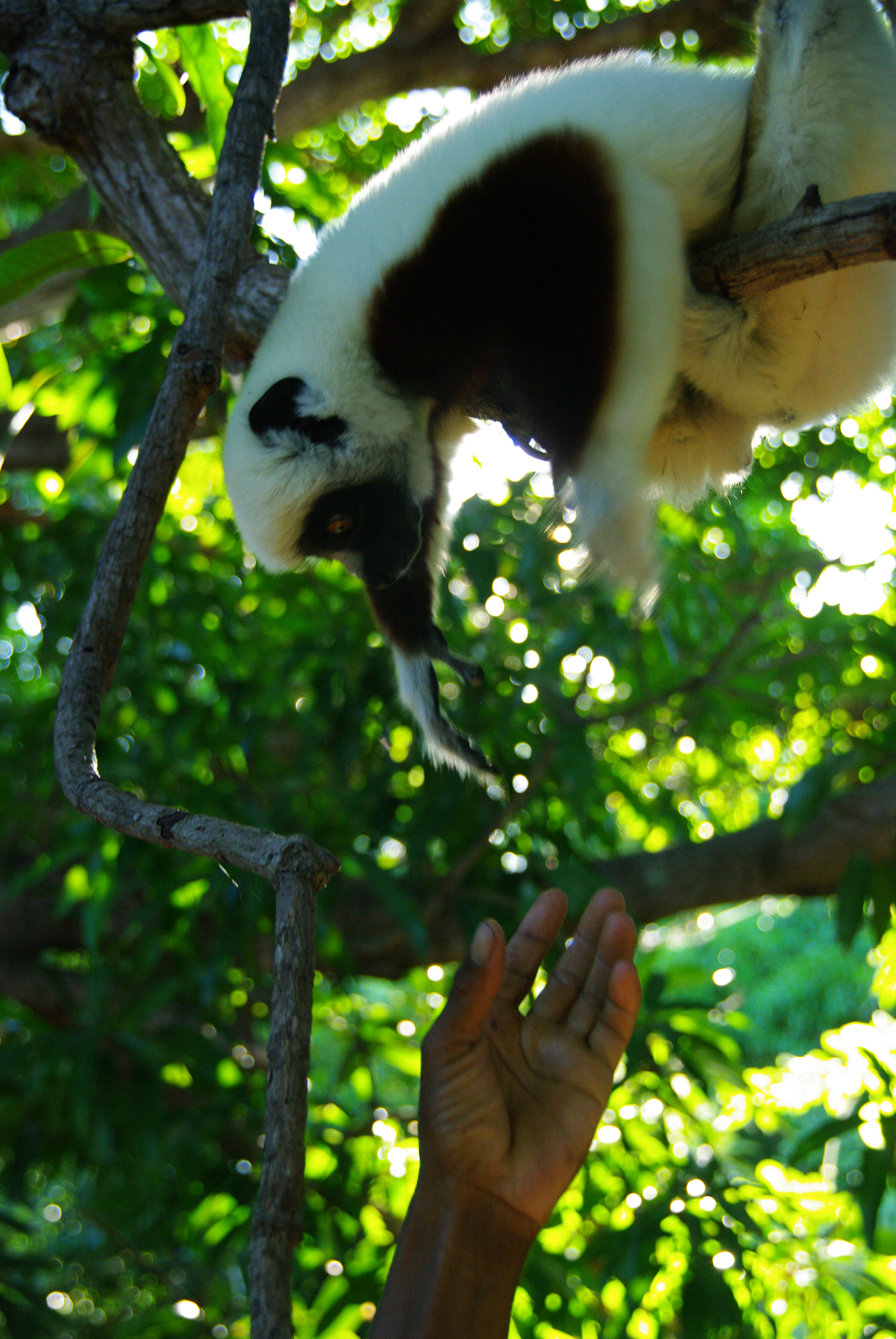 Pentax K20D sample photo. Nosy be et les îles mitsio photography