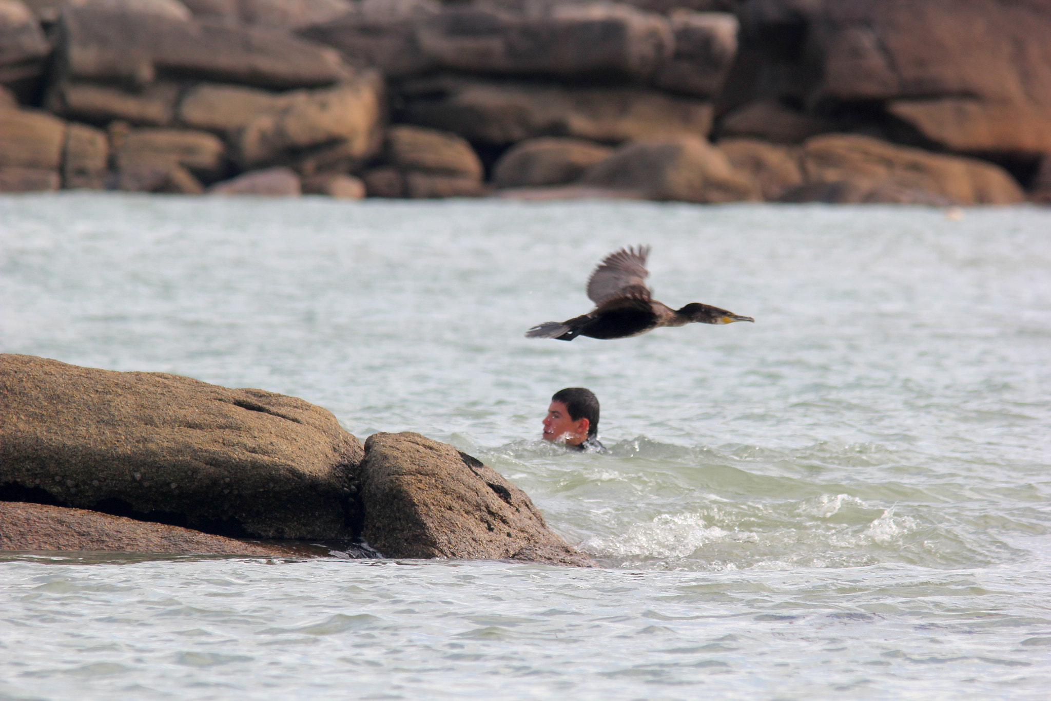 Canon EF 300mm F4L IS USM sample photo. Swim upstream photography