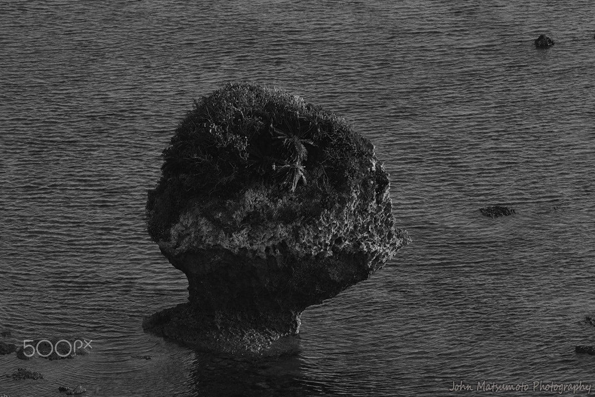 AF Nikkor 300mm f/4 IF-ED sample photo. Asteroid photography