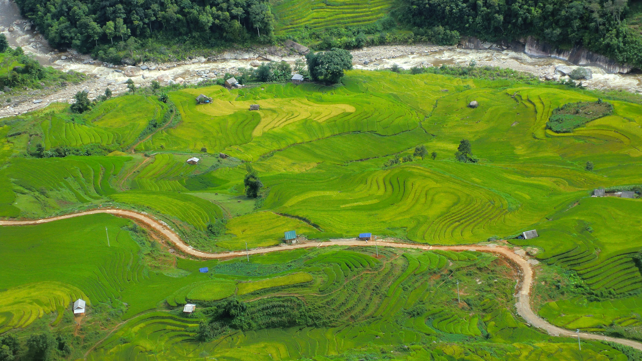 CASIO EX-Z2000 sample photo. A  lu rice fields photography