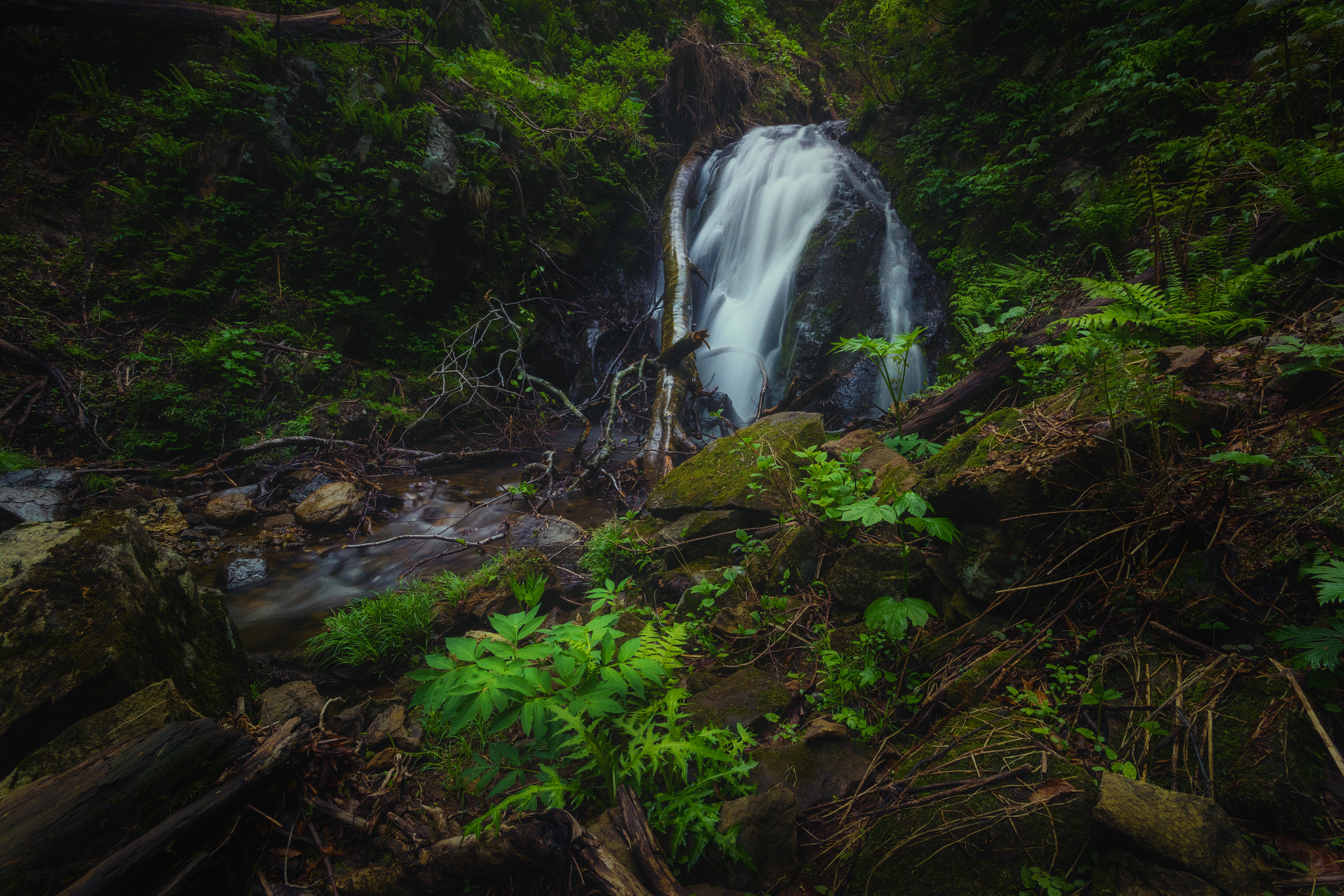 Canon EOS 550D (EOS Rebel T2i / EOS Kiss X4) sample photo. Waterfall  photography