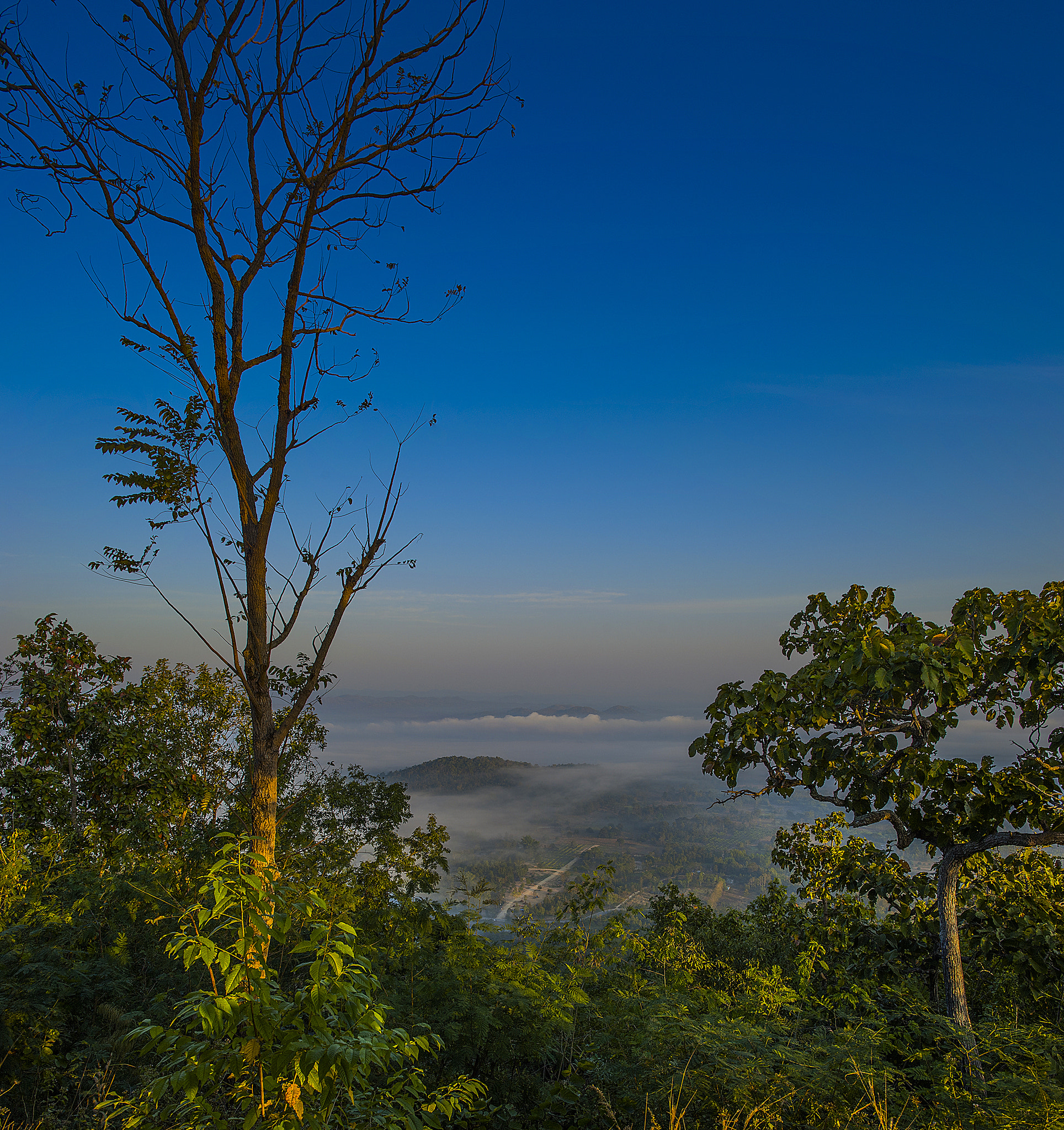 Nikon D700 + Nikon AF-S Nikkor 24mm F1.4G ED sample photo. Photorg photography
