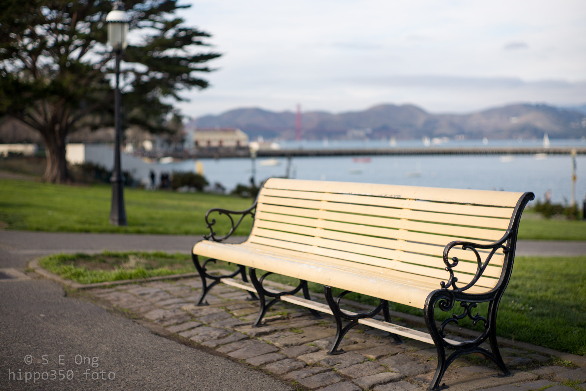 Summilux-M 1:1.4/50 sample photo. Park bench photography