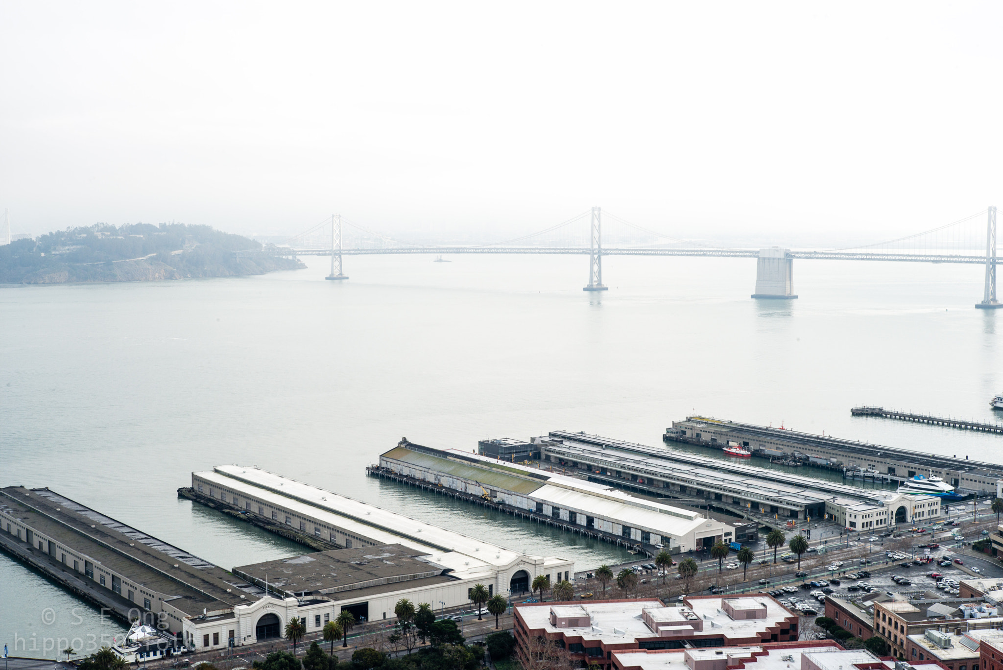 Tele-Elmarit 1:2.8/90 sample photo. Fog over oakland bay photography