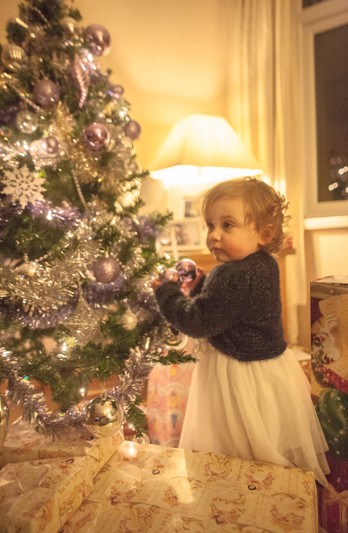 Sigma 28mm f/1.8 DG Macro EX sample photo. Christmasmago photography