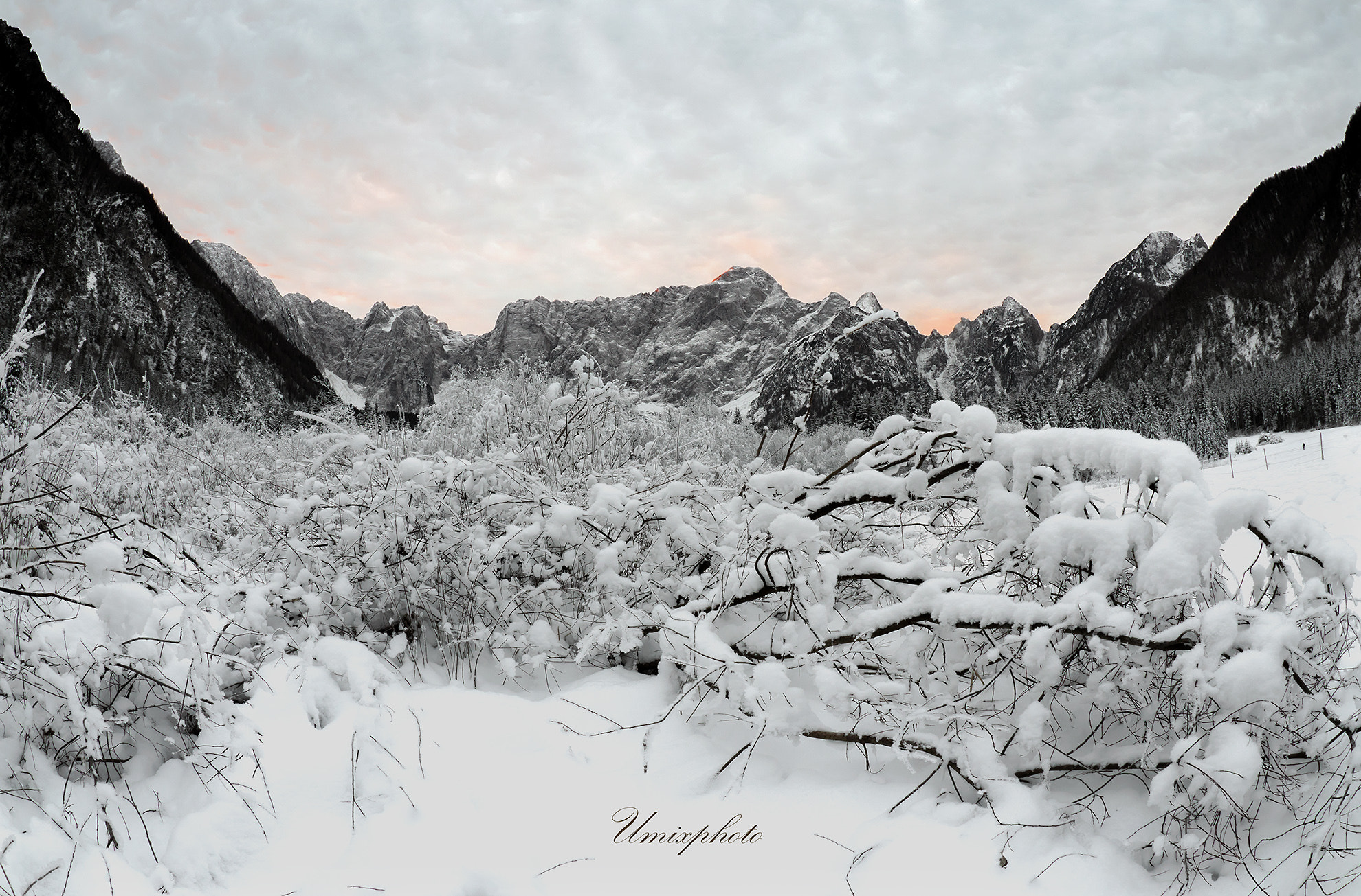 Panasonic Lumix DMC-GX8 + OLYMPUS M.8mm F1.8 sample photo. Winter morning photography