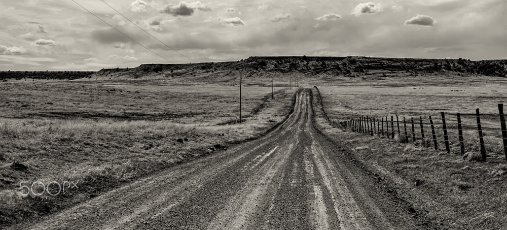 Sony a6000 + Sony Vario Tessar T* FE 24-70mm F4 ZA OSS sample photo. We're on a road to nowhere photography