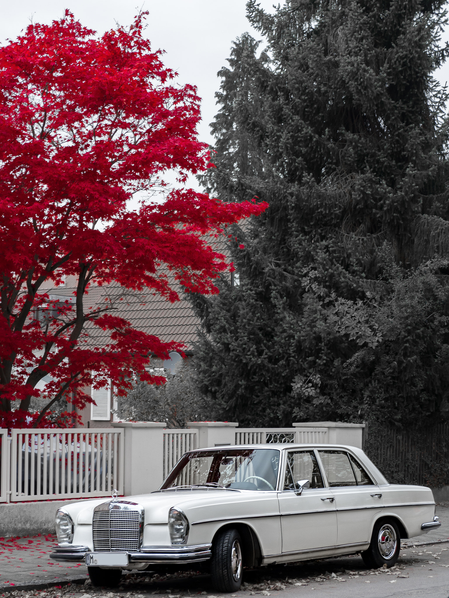 Panasonic Lumix DMC-GX7 sample photo. Mercedes photography