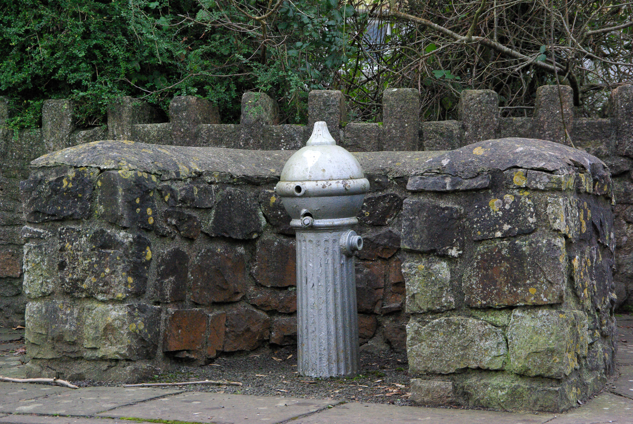 Samsung GX-10 sample photo. Leaning towards dehydrated photography