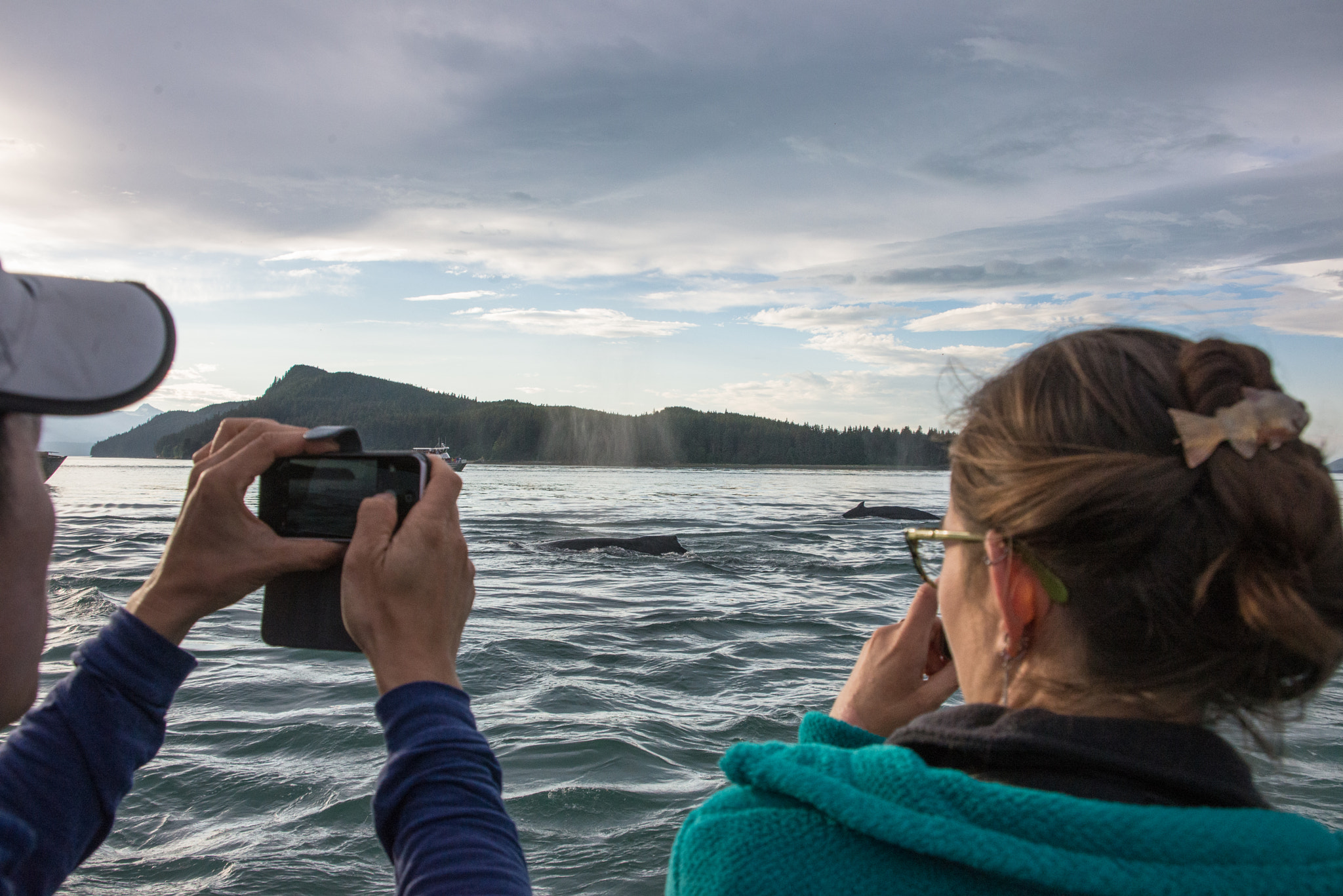 Nikon D600 sample photo. Humpback next to the boat photography