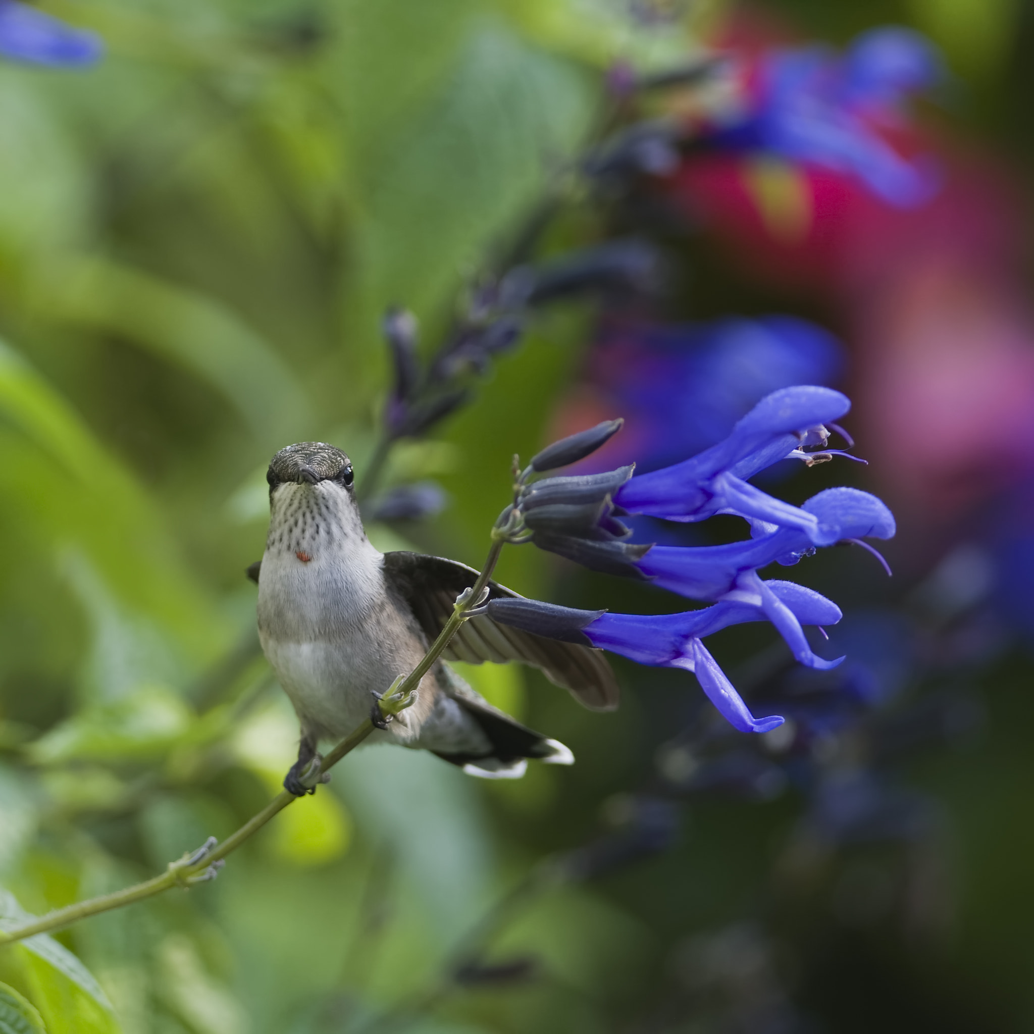 Nikon D7100 + Nikon AF Fisheye-Nikkor 16mm F2.8D sample photo. Lunch break photography
