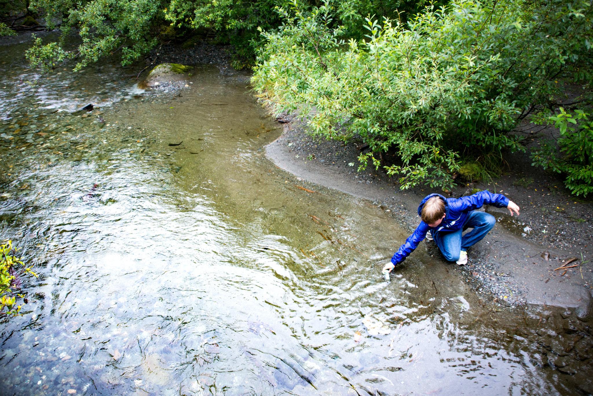 Nikon D600 sample photo. Young naturalist photographer photography