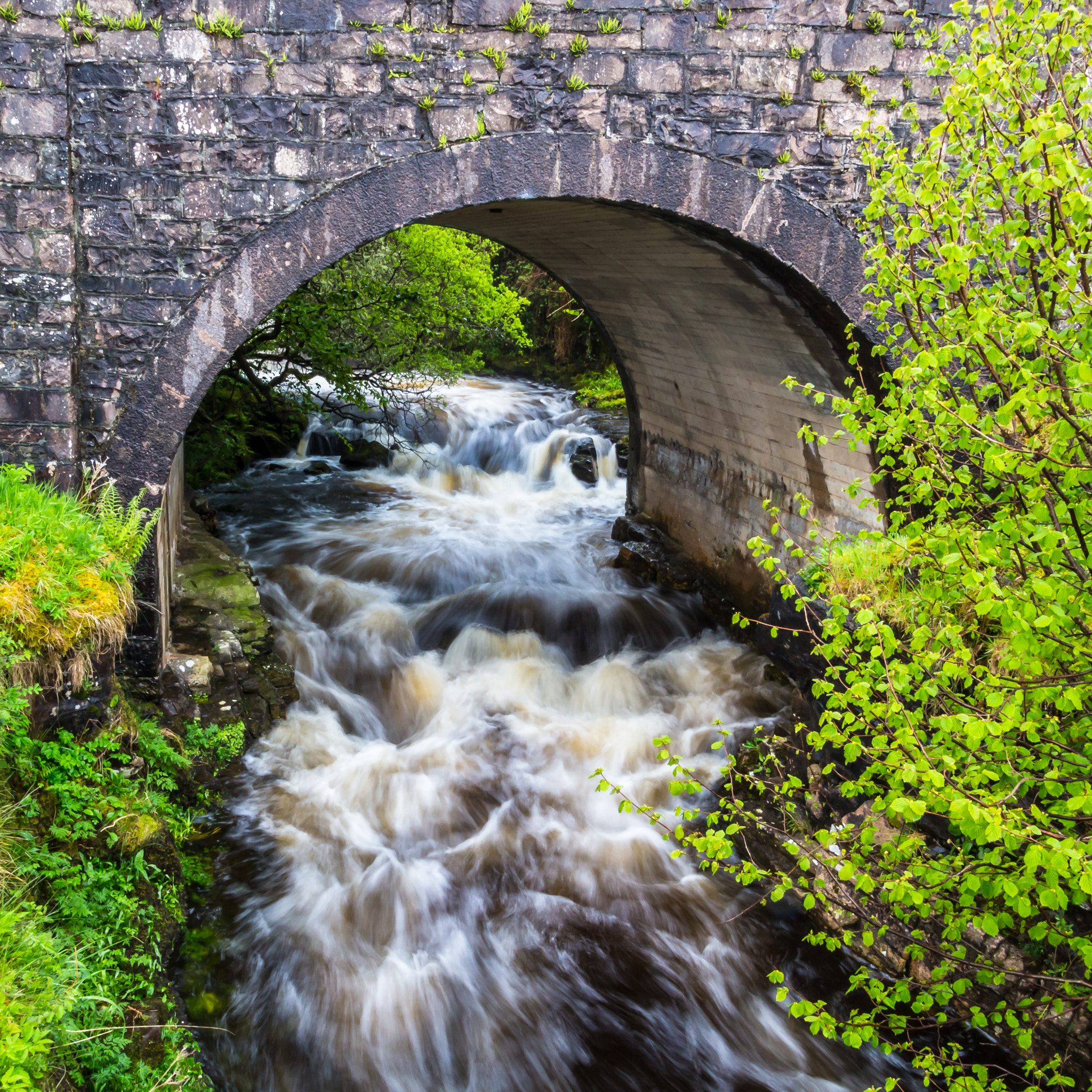 Canon EOS 100D (EOS Rebel SL1 / EOS Kiss X7) sample photo. Raging river photography