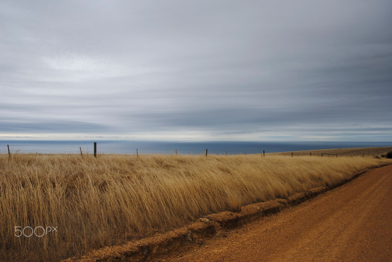 Sigma 18-250mm F3.5-6.3 DC OS HSM sample photo. Kangaroo island, australia photography