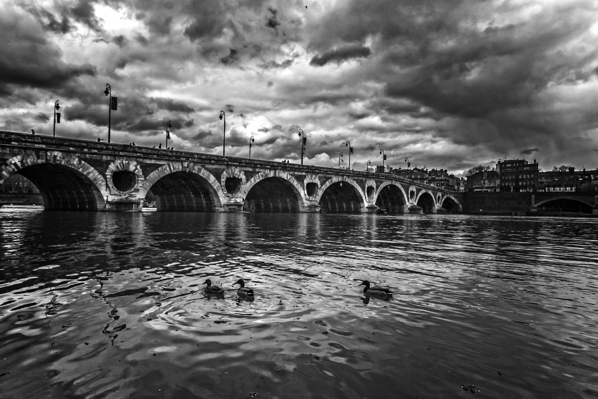 Canon EOS 40D + Tokina AT-X Pro 12-24mm F4 (IF) DX sample photo. Trio floating on the river photography
