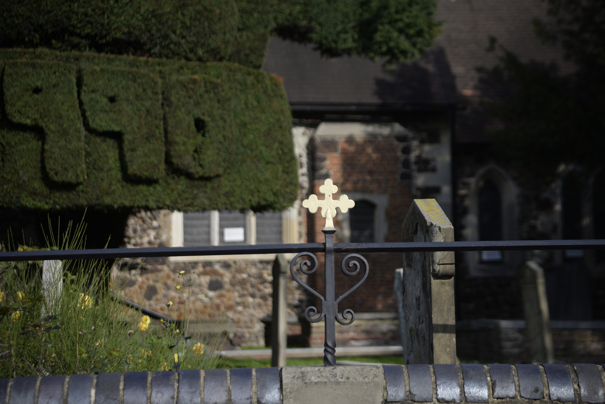 Nikon D610 + Sigma 28-105mm F2.8-4 Aspherical sample photo