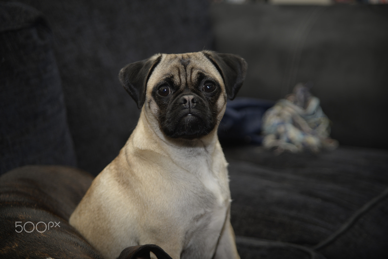 Nikon D610 + Sigma 28-105mm F2.8-4 Aspherical sample photo