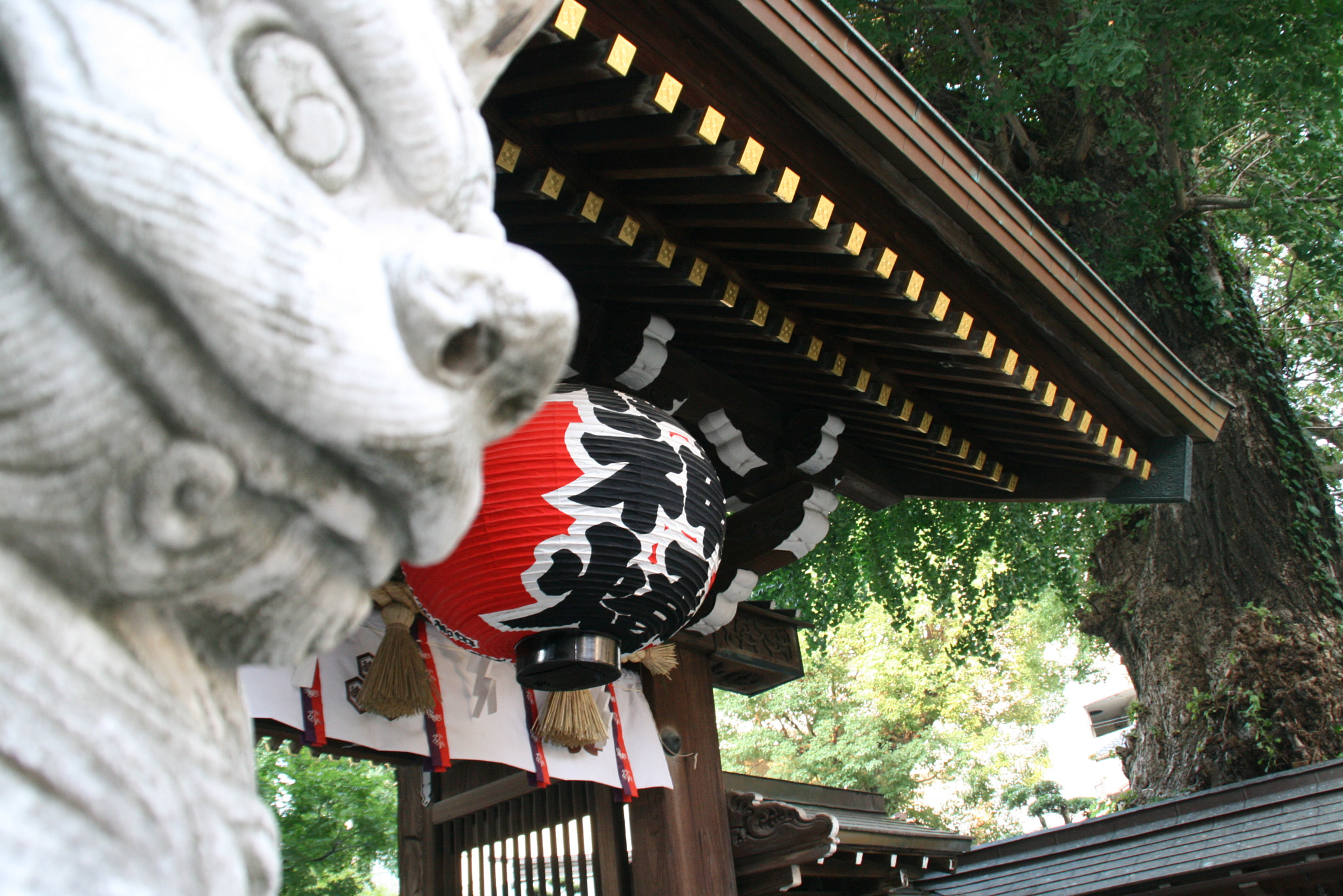 Canon EOS 400D (EOS Digital Rebel XTi / EOS Kiss Digital X) sample photo. Entranse of shrine photography