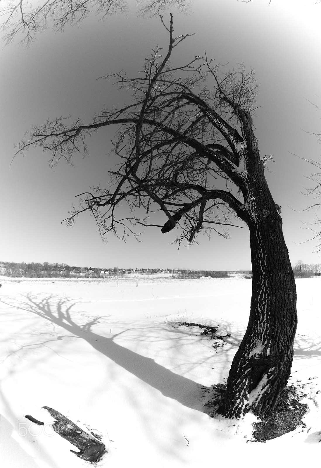 Nikon D300 + Sigma 10mm F2.8 EX DC HSM Diagonal Fisheye sample photo. Sundial photography