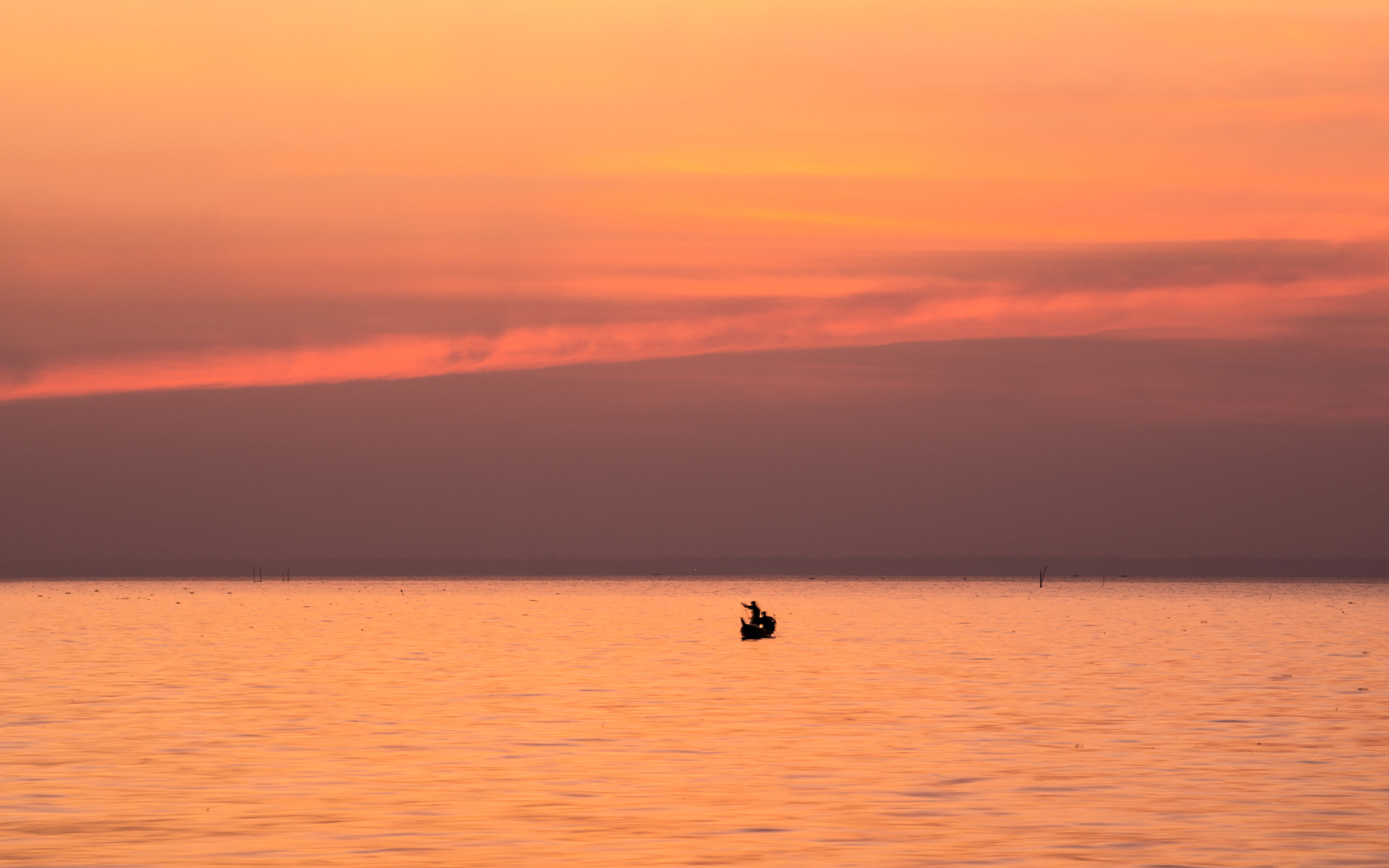 Sony DT 55-200mm F4-5.6 SAM sample photo. Returning home photography