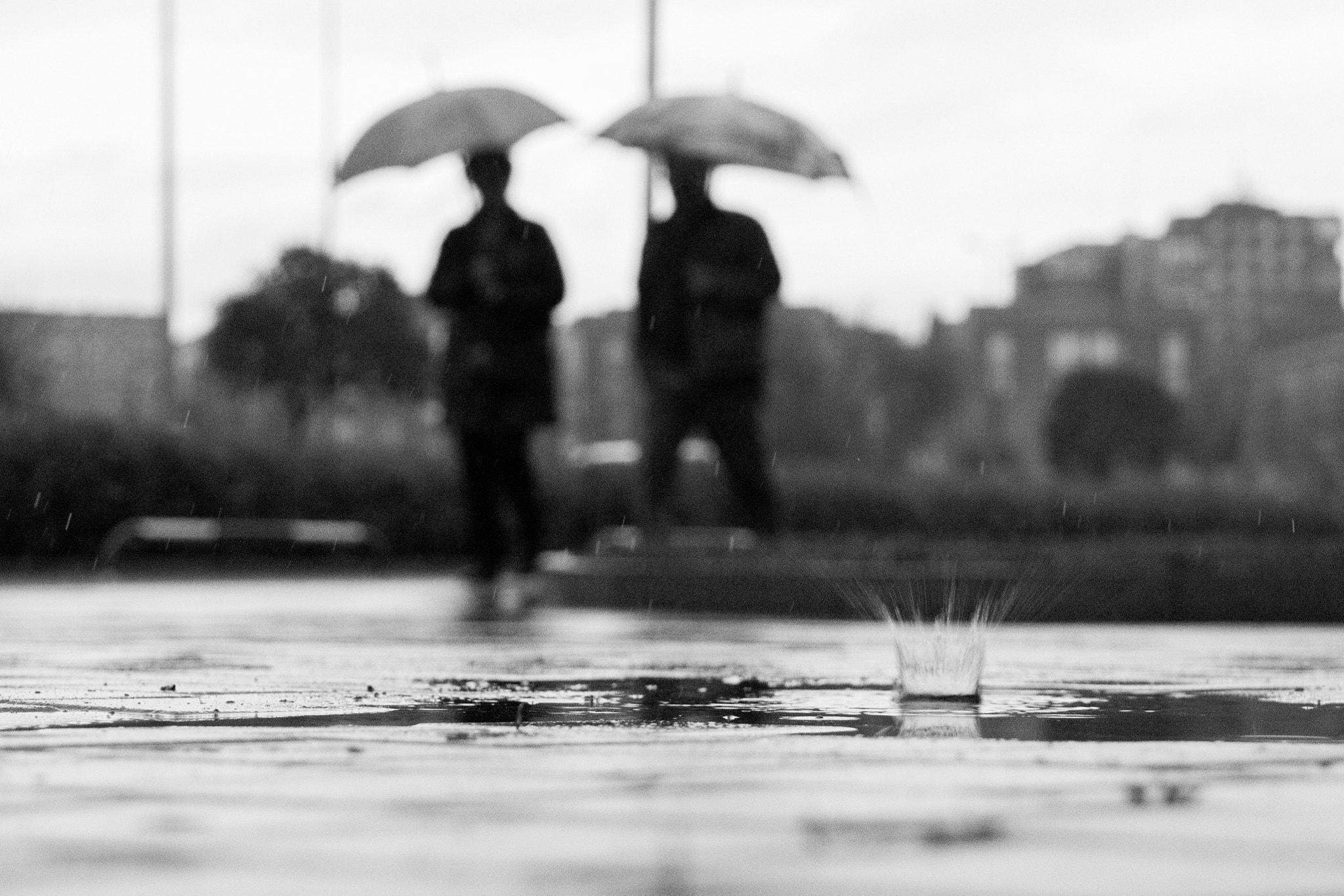 Sigma 18-125mm F3.8-5.6 DC OS HSM sample photo. Drop and couple under umbrellas photography