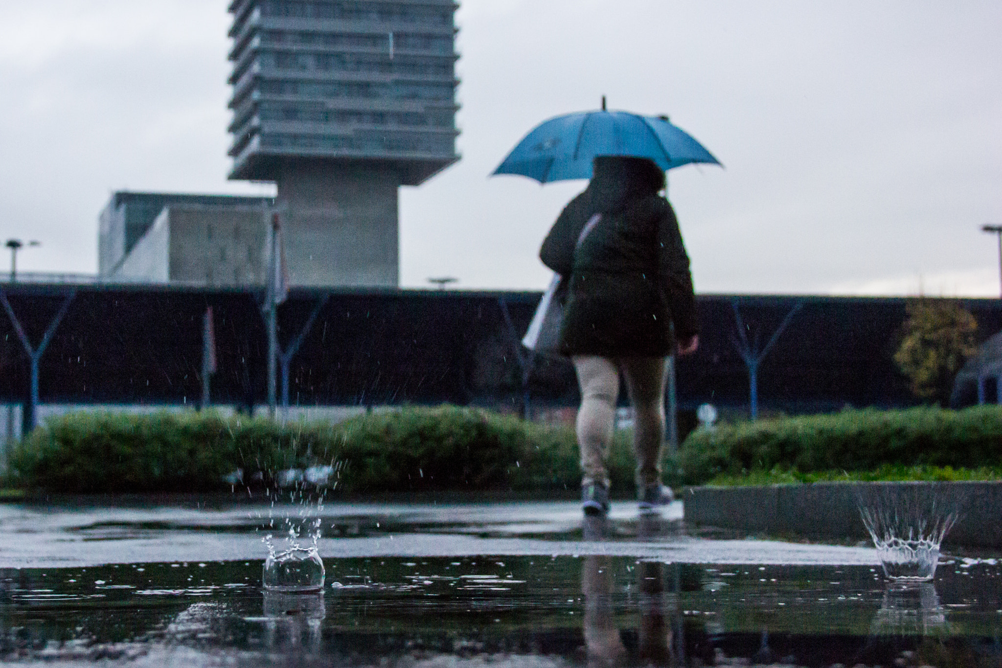Sigma 18-125mm F3.8-5.6 DC OS HSM sample photo. Two drops photography