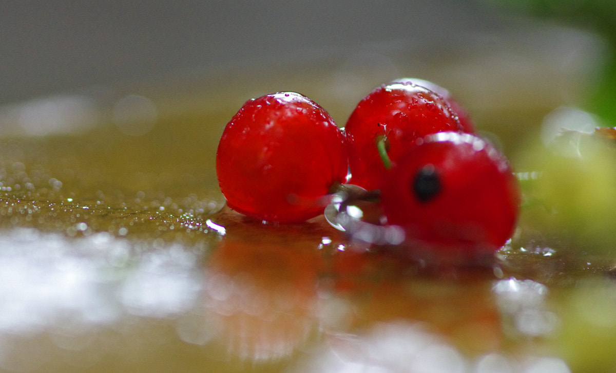 Pentax K-5 sample photo. *** photography