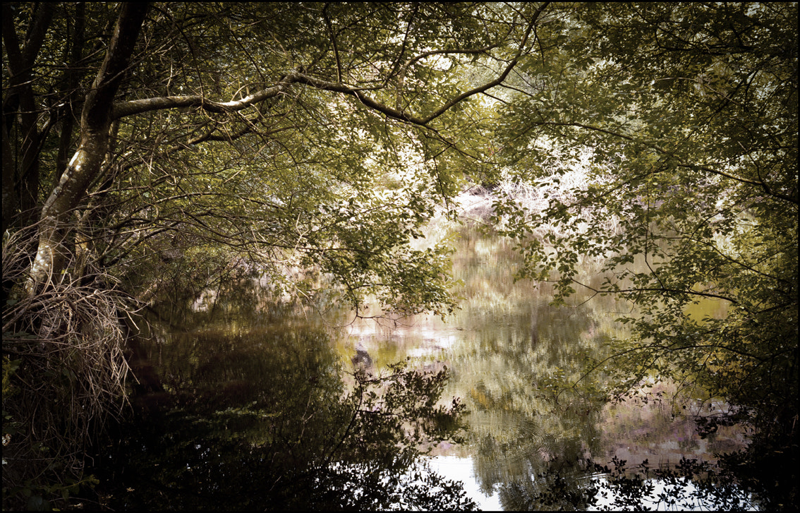 AF Nikkor 28mm f/2.8 sample photo. Il giardino di claude monet a giverny photography