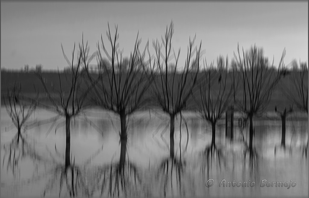 Sigma 70-300mm F4-5.6 APO DG Macro sample photo. El lago bn photography