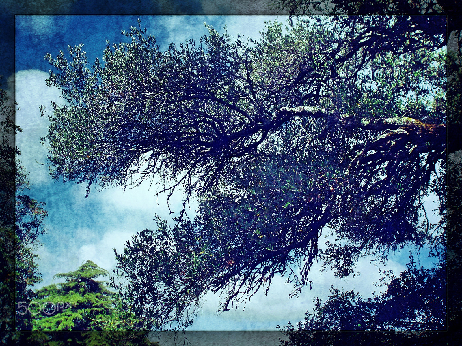 Olympus u760,S760 sample photo. Sintra 2015 photography