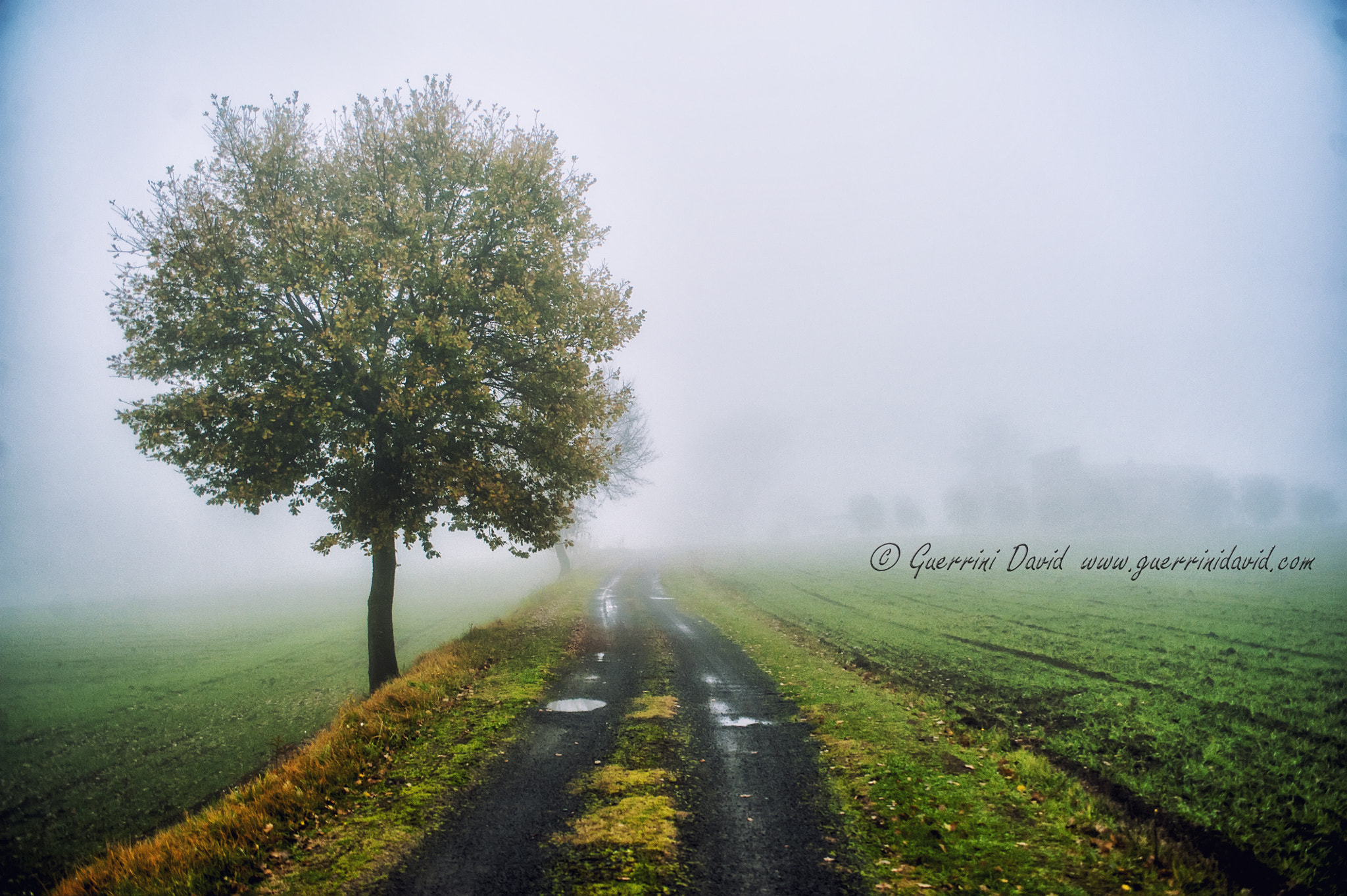 Sigma 28-70mm F2.8 sample photo. Il sunto della giornata: nebbia photography