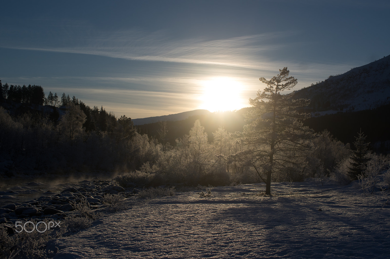 Pentax smc DA 35mm F2.8 Macro Limited sample photo. Norwegian winter woods photography