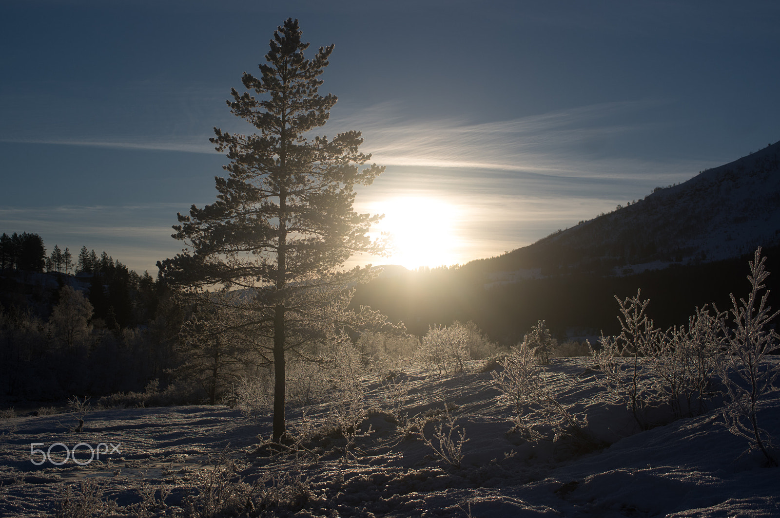 Pentax smc DA 35mm F2.8 Macro Limited sample photo. Norwegian winter woods 3 photography