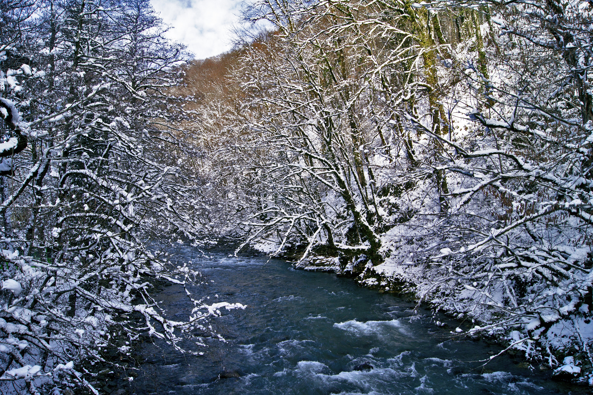 Sony Alpha DSLR-A450 + Sony DT 18-55mm F3.5-5.6 SAM sample photo. Mzymta river, sochi-adler, russia photography