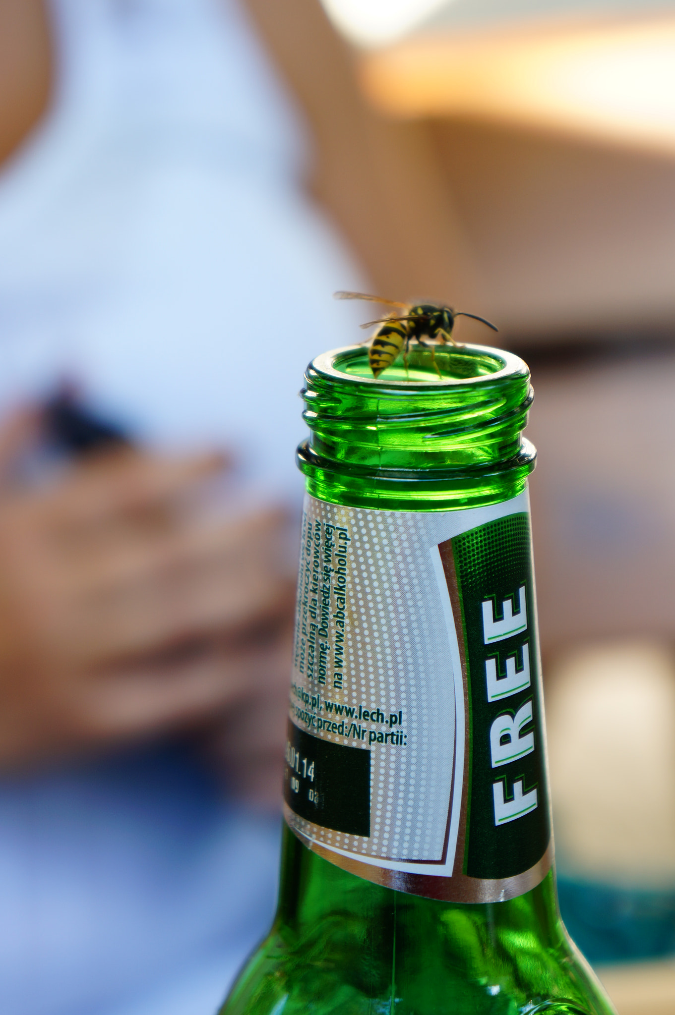 Sony E 18-55mm F3.5-5.6 OSS sample photo. Wasp on bottle photography