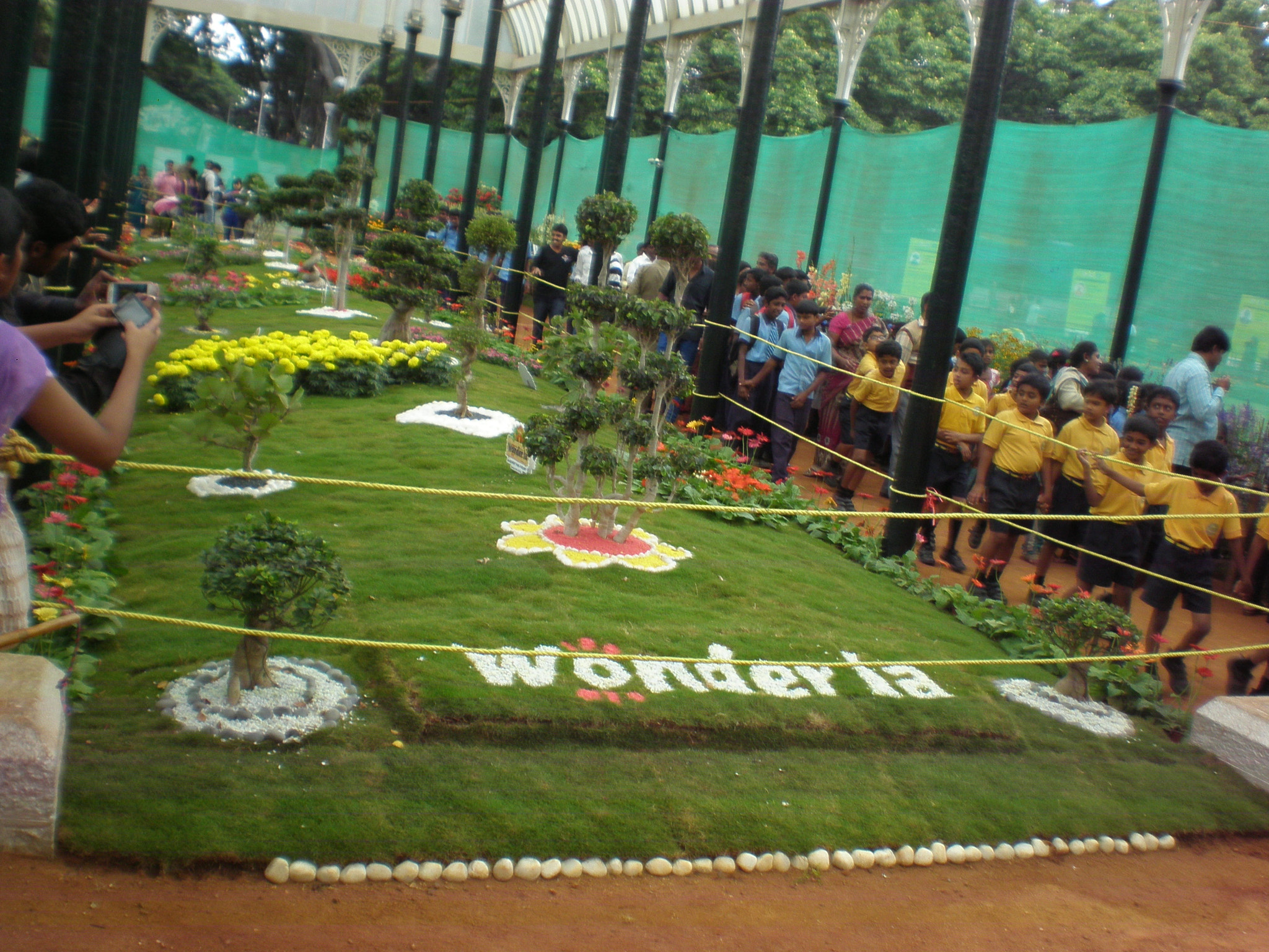 Olympus FE280,X820,C520 sample photo. Flowershow photography