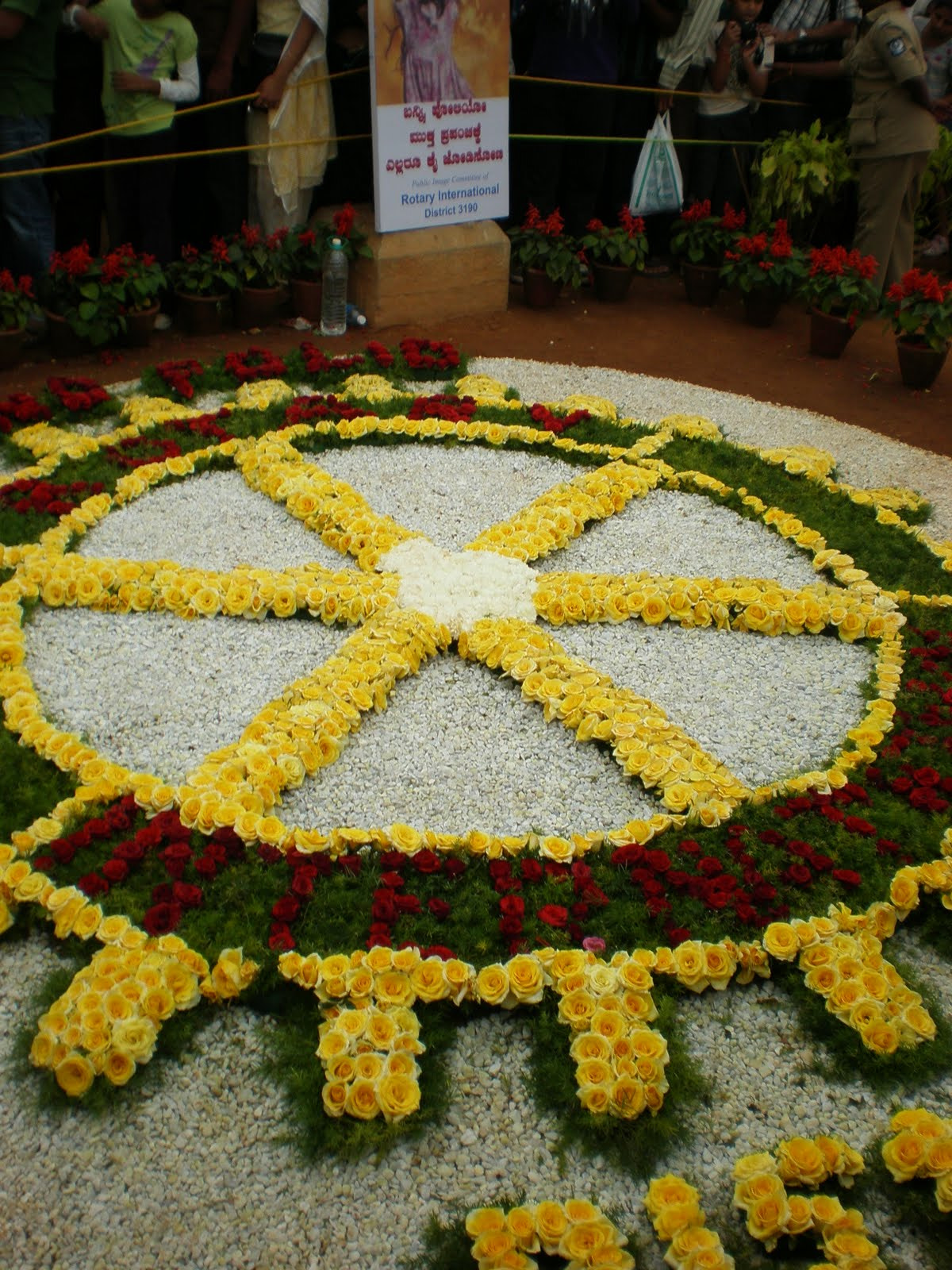 Olympus FE280,X820,C520 sample photo. Flowershow photography