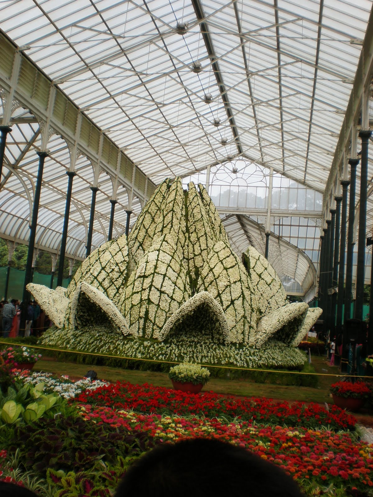 Olympus FE280,X820,C520 sample photo. Flowershow photography