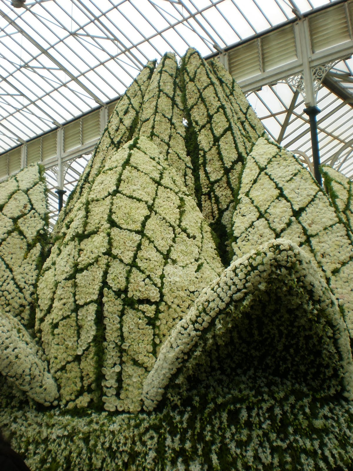 Olympus FE280,X820,C520 sample photo. Flowershow photography